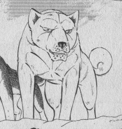 Copia4demasashige3