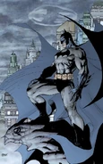 The batman
