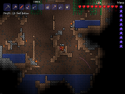 Worm