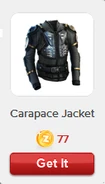 RV Carapace Jacket