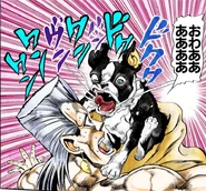 Iggy First Appearance