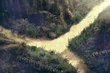 Gongaga wilderness2