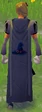 Magic cape equipped.png
