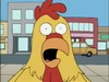 Chickenfight1