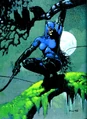 Catwoman 0016