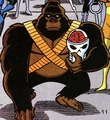 Mallah DCAU