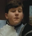 Dudley Dursley.jpg