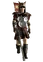 LegionVexillarius