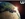Wikia World