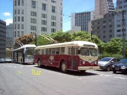 ACF Bril 3093