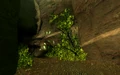 Fallen Rock Cave.jpg