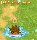 HKO Bramble Leader112.JPG