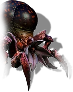 Tw2 journal arachas