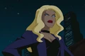 Dinah Laurel Lance DCAU 003