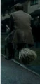 RemusBroom.jpg