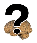 Ideology Icon