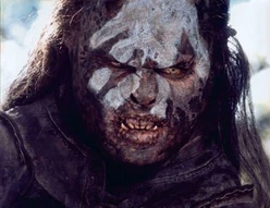 Lurtz 2
