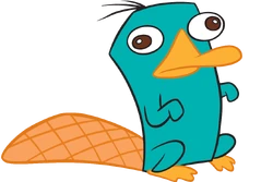 Perry The Platypus
