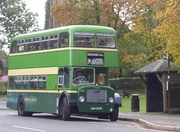 Dennis loline III grayshott