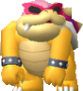Roy Koopa NSMBW