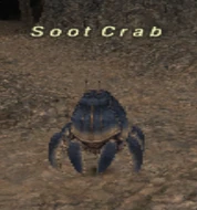 Soot Crab