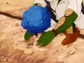 AjissaPlant