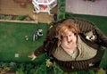 Margespell.jpg