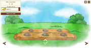 Campo ballas