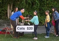 Cats20dollars.jpg