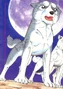 Scan0004ym