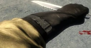 Richtofen First Person
