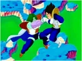 Zarbon 23