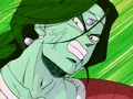 Zarbon 24