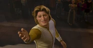 Charming shrek 11