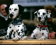 Dottie&dipstick