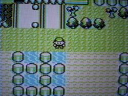 Glitch city3-
