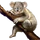 Item koala 01