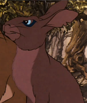 a focus on the character hazel in the story watership down Leadership uncovered richard adams' story watership down tells a tale of the strain of a small warren of rabbits and the transformation of the main character hazel. a focus on the character hazel in the story watership down Leadership uncovered richard adams' story watership down tells a tale of the strain of a small warren of rabbits and the transformation of the main character hazel.