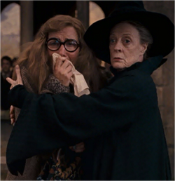 Minerva and Sybill