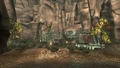 Sorrows Camp.jpg