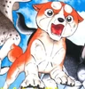 Ori6