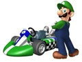 Mario kart wii luigi