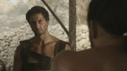 Mago