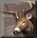 Easter Eggs icon.png