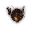 Tw2 trap harpy small