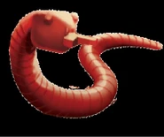 Snake