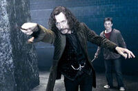 Sirius-black