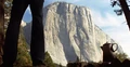 El Capitan.jpg