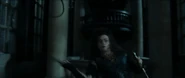 Bella's Whip-DH1