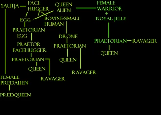 Praetorianhowto